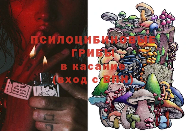 apvp Устюжна