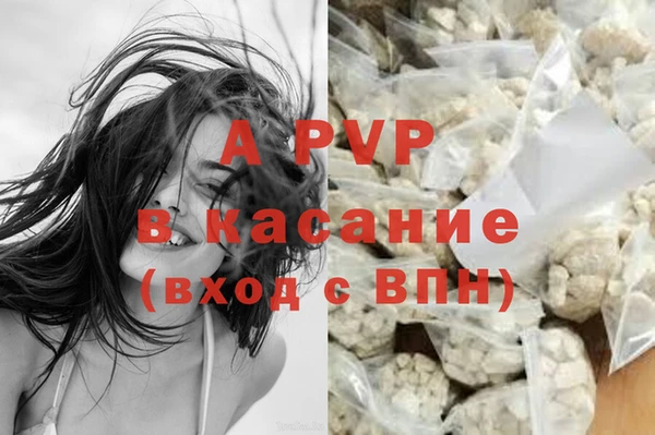 каннабис Новодвинск