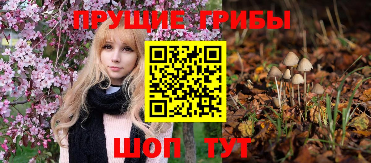 Псилоцибиновые грибы ЛСД  Красноперекопск  Галлюциногенные грибы прущие грибы 